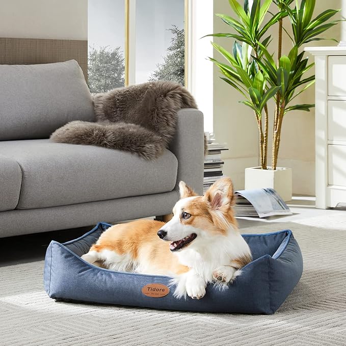 Orthopedic Dog Beds for Medium Large Dogs