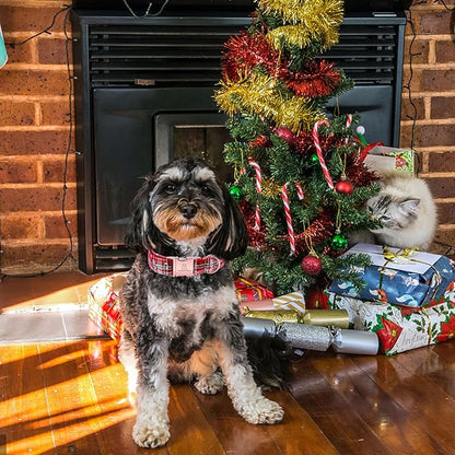 Lionheart glory Christmas Plaid Dog Collar