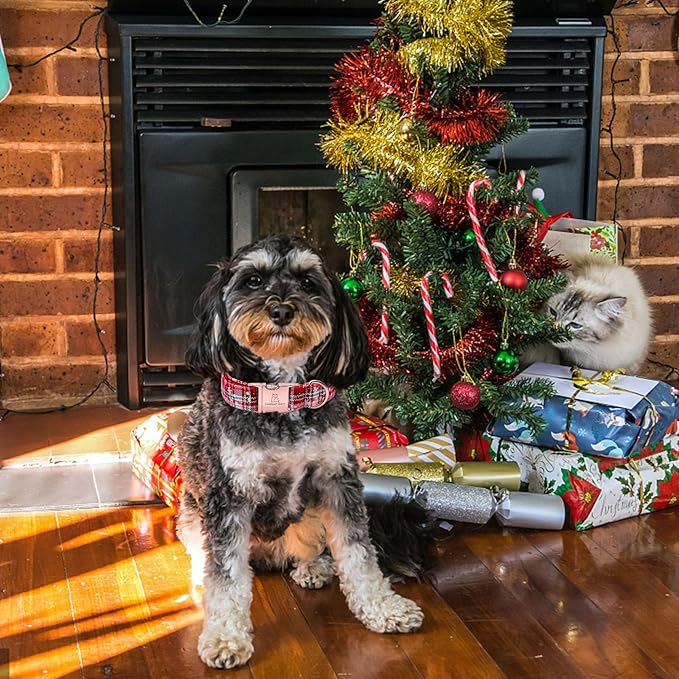 Lionheart glory Christmas Plaid Dog Collar
