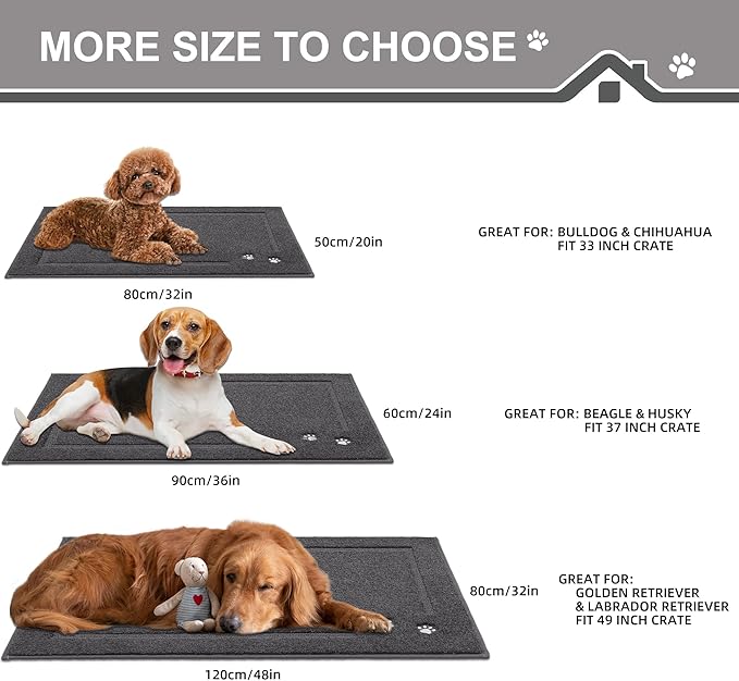 BEQHAUSE Dog Door Mat for Muddy Paws Dirt Trapper Absorbent Mud Mat for Dogs Non-Slip Washable Entryway Rug Low-Profile Soft Indoor Door Mats for Muddy Wet Shoes and Paws 20"x32"