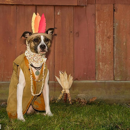 Elegant little tail Dog Collar with Flower