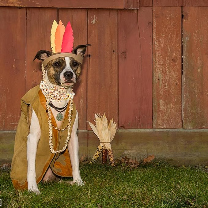 Elegant little tail Dog Collar with Flower