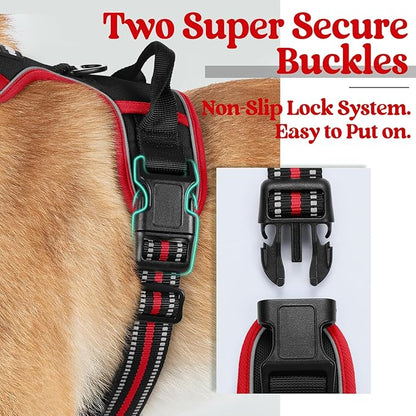 rabbitgoo Dog Harness 2 Leash