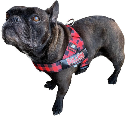 BULLHUG Harness – Made for Larger Chested Dogs Like English Bulldogs
