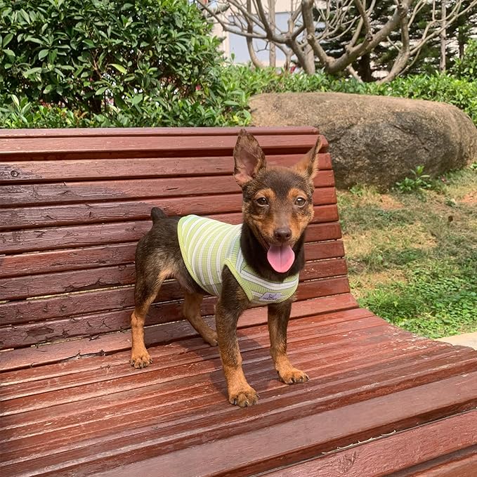 YQYS Dog Shirts Multi-color Striped Cotton Vest for Small Dogs and Cats Puppy Clothes Teacup Dog Clothing Tank Top for Chihuahua Miniature Pinscher Green XXSmall