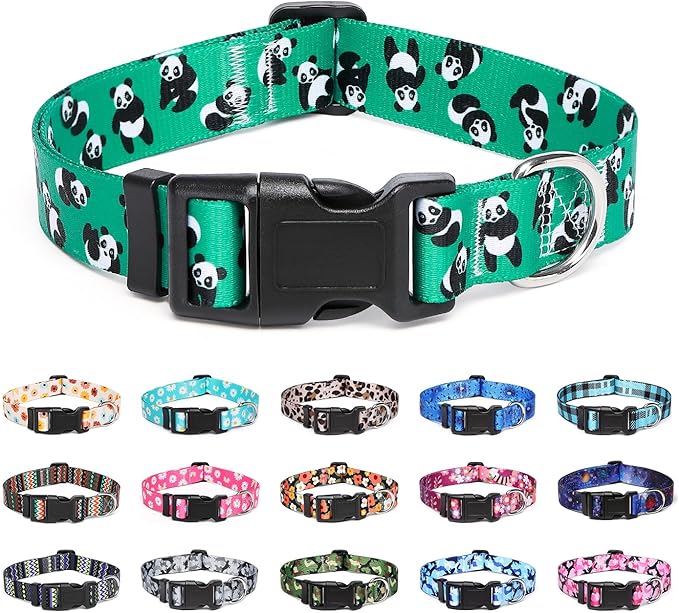 Adjustable Dog Collar with Patterns