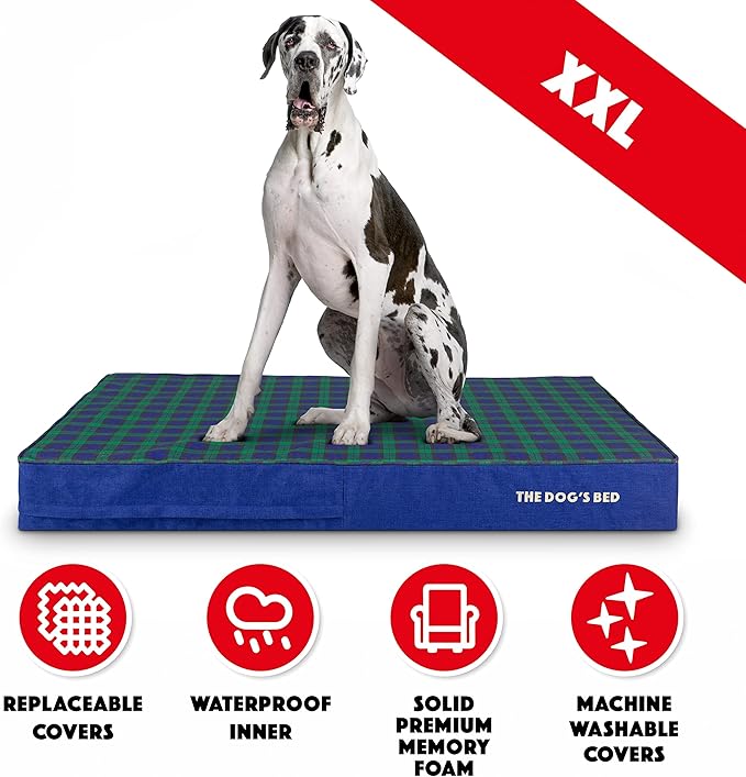 The Dog’s Bed Orthopedic Memory Foam Dog Bed 54x36 Pain