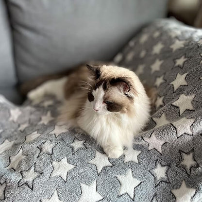 1 Pack 3 Dog Blankets Super Soft Puppy Blankets Warm Sleep Mat Star Print Blanket Fluffy Fleece Pet Blanket Flannel Throw Blankets for Small Dogs Puppy Dogs Fluffy Cats (29"x20")