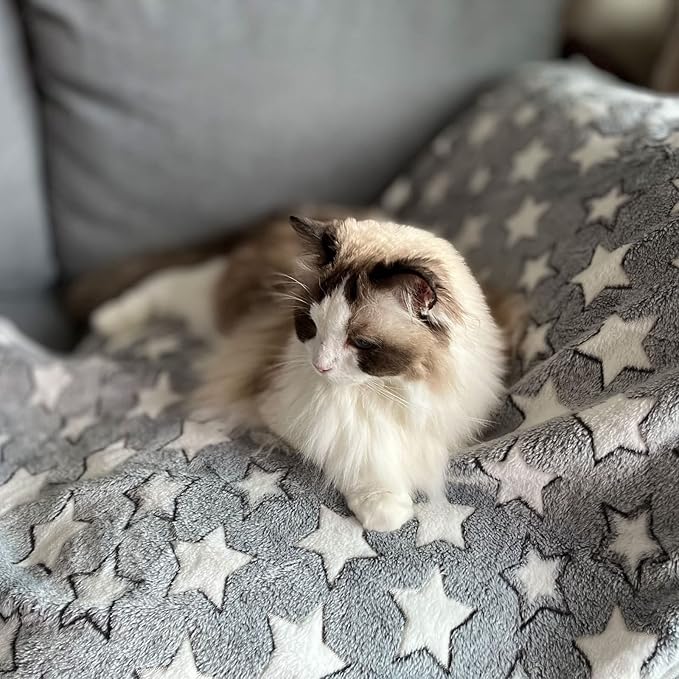 1 Pack 3 Dog Blankets Super Soft Puppy Blankets Warm Sleep Mat Star Print Blanket Fluffy Fleece Pet Blanket Flannel Throw Blankets for Small Dogs Puppy Dogs Fluffy Cats Star-Large(40"x30")