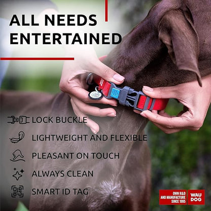 WAUDOG Waterproof Dog Collar