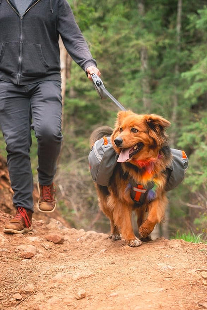 Mountainsmith K-9 Pack