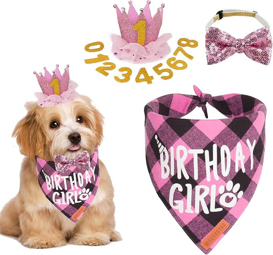 ADOGGYGO Dog Birthday Party Supplies, Multi Size Offered, Birthday Girl Dog Bandana, Dog Birthday Hat Crown with Numbers for Small Dogs Pets (Small, Pink)