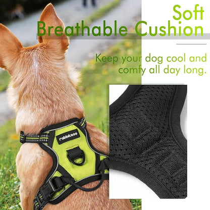 rabbitgoo Dog Harness, No-Pull Pet Harness with 2 Leash Clips, Adjustable Soft Padded Dog Vest, Reflective No-Choke Pet Oxford Vest with Easy Control Handle for Small Dogs, Wild Lime, XS