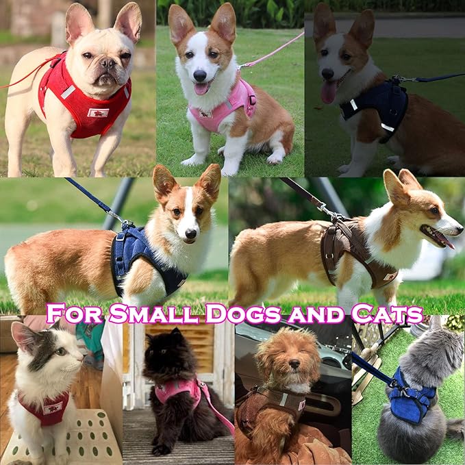 Zunea Small Dog Harness and Leash Set No