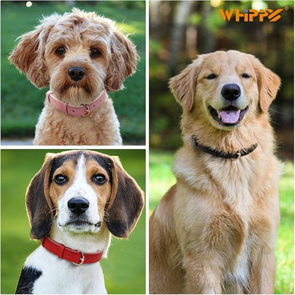 WHIPPY Soft Padded Leather Dog Collar for Small Medium Large Dogs Heavy Duty Dog Collar with Adjustable Rust-Proof Metal Hardware