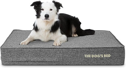 The Dog’s Bed Orthopedic Memory Foam Dog Bed 40x25, Pain