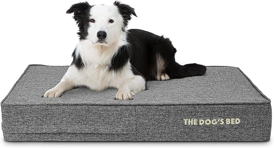 The Dog’s Bed Orthopedic Memory Foam Dog Bed 40x25, Pain