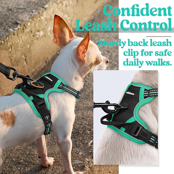 rabbitgoo Dog Harness, No-Pull Pet Harness with 2 Leash Clips, Adjustable Soft Padded Dog Vest, Reflective No-Choke Pet Oxford Vest with Easy Control Handle for Large Dogs, Black & Turquoise, X-Small