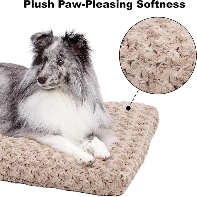 MidWest Homes for Pets Plush Ombré Swirl Dog & Cat Bed 23L x 18W x 1.75H -Inches 24-Inch, Model:40624-STB