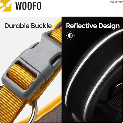 Premium Dog Collar