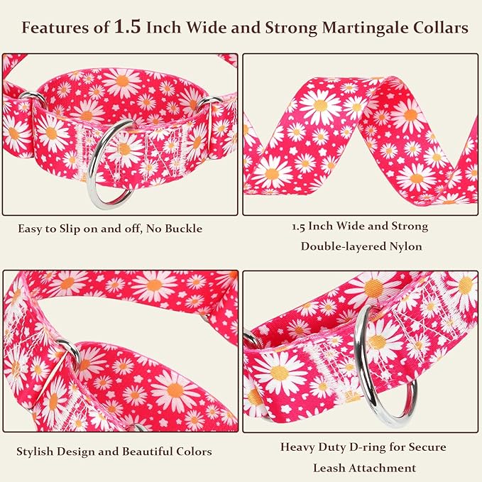 Martingale Collar 1.5 Inches Wide Girl Dog Collar