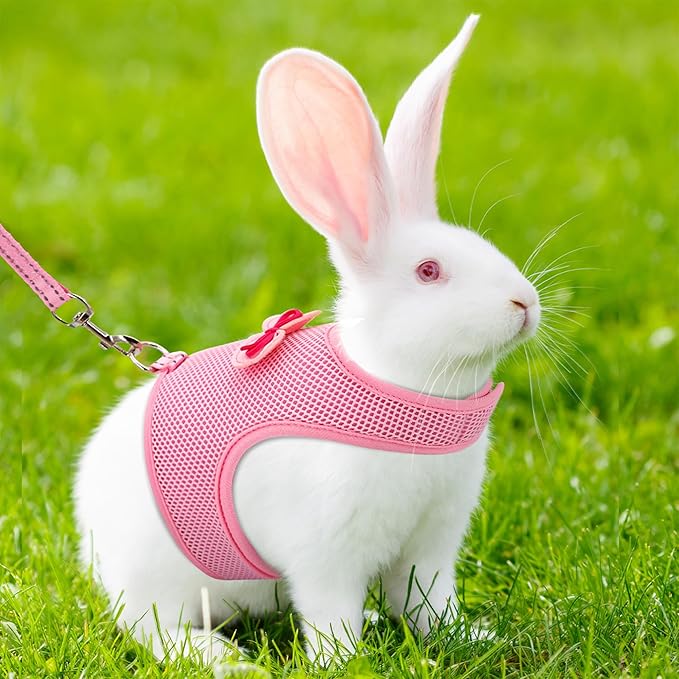 AIITLE Rabbit Harness and Leash Set with Cute Bow, Bunny Leash Vest Mesh Eescape Proof Walking Training for Small Animal Pets Kitten Puppy Squirrel Ferret Pig Bunny Pink S