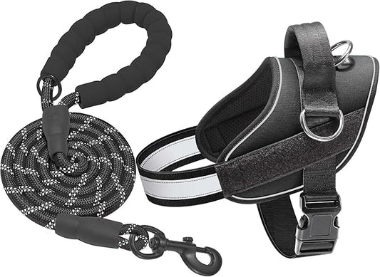 Haapaw Essential Dog Harness, No Pull Pet Vest with 3 Leash Clips, No Choke, Reflective, Adjustable and Padded, for Easy Walking and Training for Medium Dogs(M, Black)