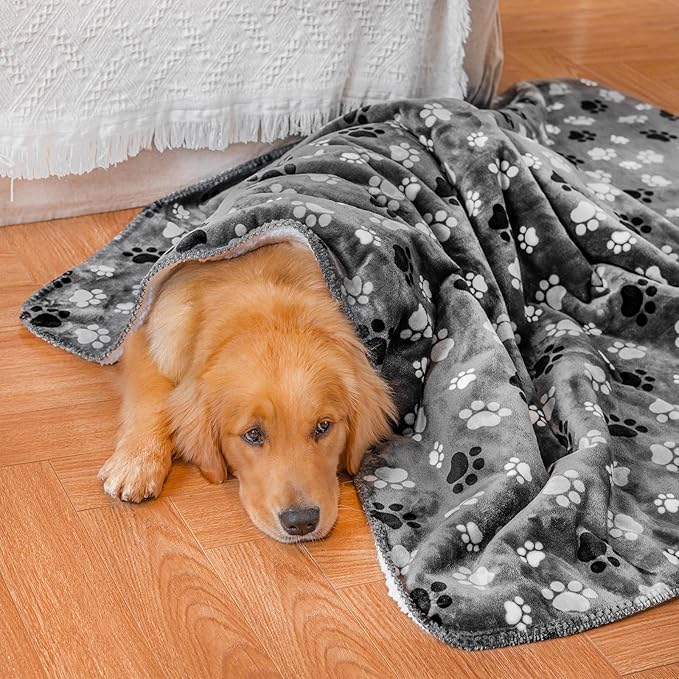 Waterproof Pet Blanket Dog Blankets, Pattern Printing Super Soft Warm Fluffy Facecloth Sofa Car Bed Protector, Urine Proof Washable Pet Blanket for Puppy Large Dogs & Cats(Dog paw64cm*76cm)