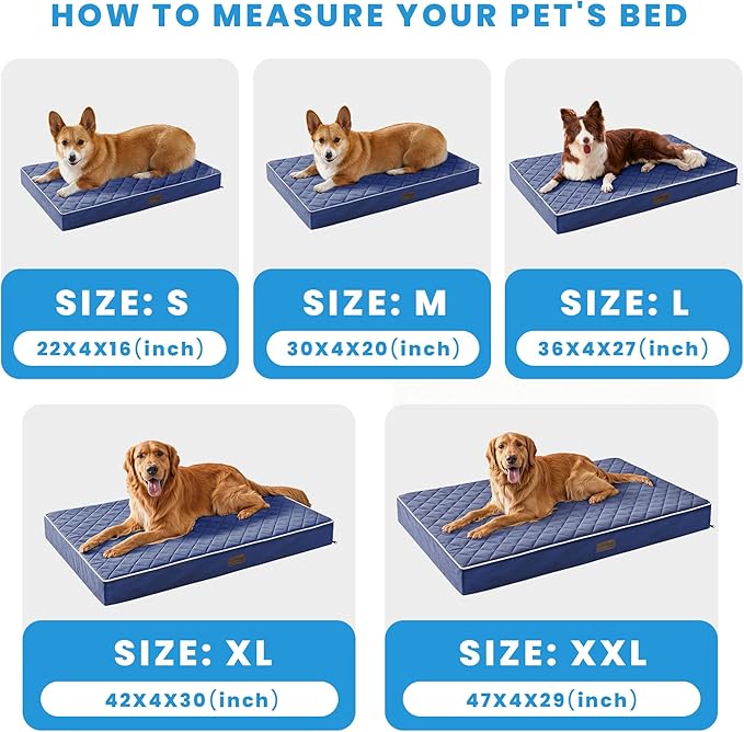 SunStyle Home Orthopedic Dog Beds for XX-Large Dogs