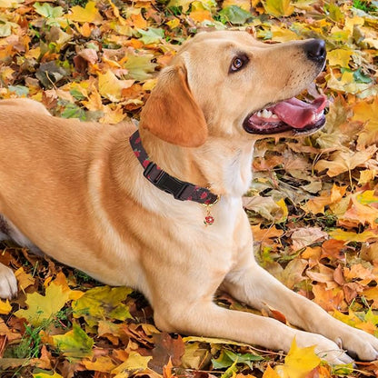 Cotton Handmade Dog Collar Cute and Distinctive Patterns