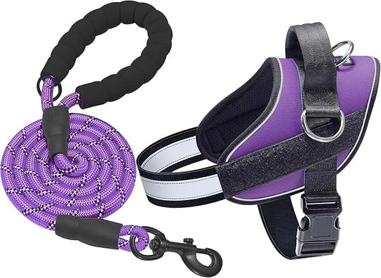 Haapaw Essential Dog Harness, No Pull Pet Vest with 3 Leash Clips, No Choke, Reflective, Adjustable and Padded, for Easy Walking and Training for Medium Dogs(M, Purple)