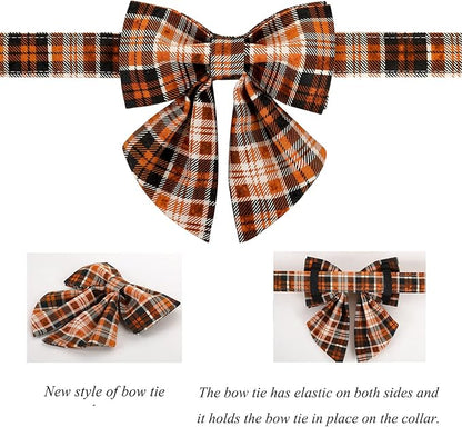Lionet Paws Halloween Dog Collar with Bowtie 10-16in