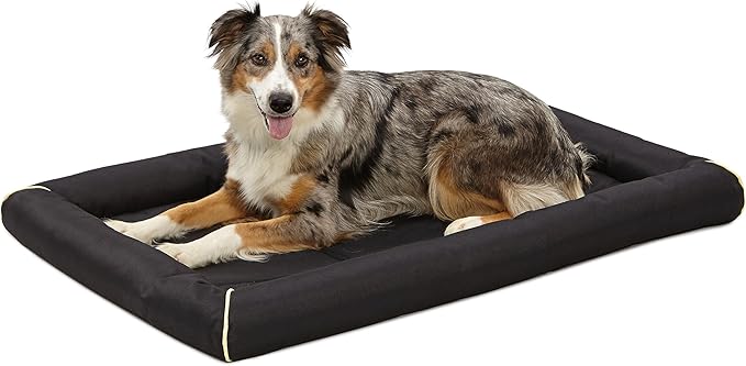 MidWest Homes for Pets Maxx Dog Bed for Metal Dog Crates 42-Inch, Black