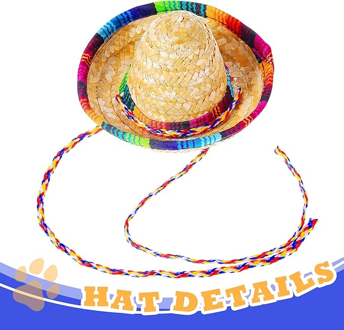 Dog Sombrero Hat Multicolor Sombrero Hats Straw Mexican
