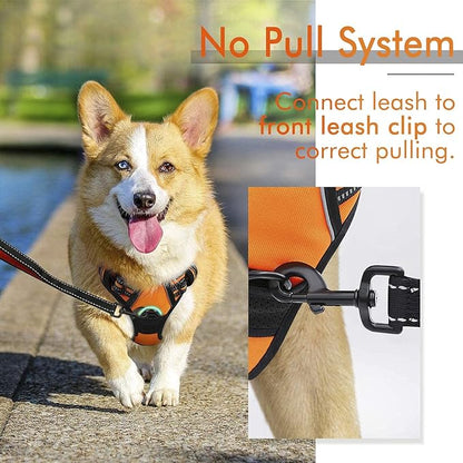 rabbitgoo Dog Harness,No-Pull Pet Harness with 2 Leash Clips,Adjustable Soft Padded Dog Vest,Reflective No-Choke Pet Oxford Vest with Easy Control Handle for Medium Dogs,Orange, M