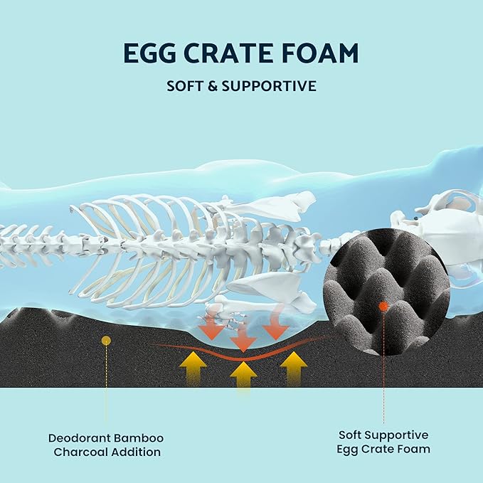Soft Supportive Certipur-Us Certified Egg Crate Foam Dog Bed for Large Dogs (35" x 25" x 7", Up 75LBs)