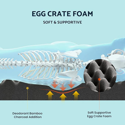Soft Supportive Certipur-Us Certified Egg Crate Foam Dog Bed for Large Dogs (35" x 25" x 7", Up 75LBs)