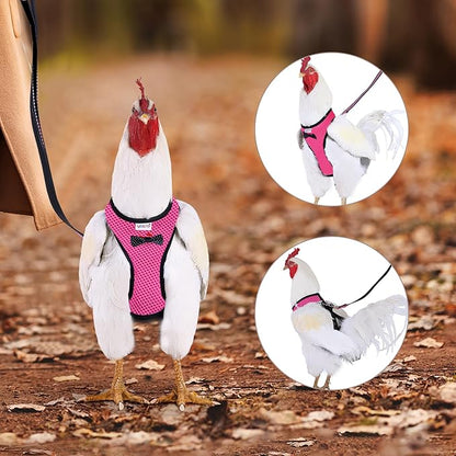 Chicken Harness Hen Size with 6ft Matching Leash – Adjustable, Resilient, Comfortable, Breathable, Small, Suitable for Chicken Weighing About 2.2 Pound,Pink