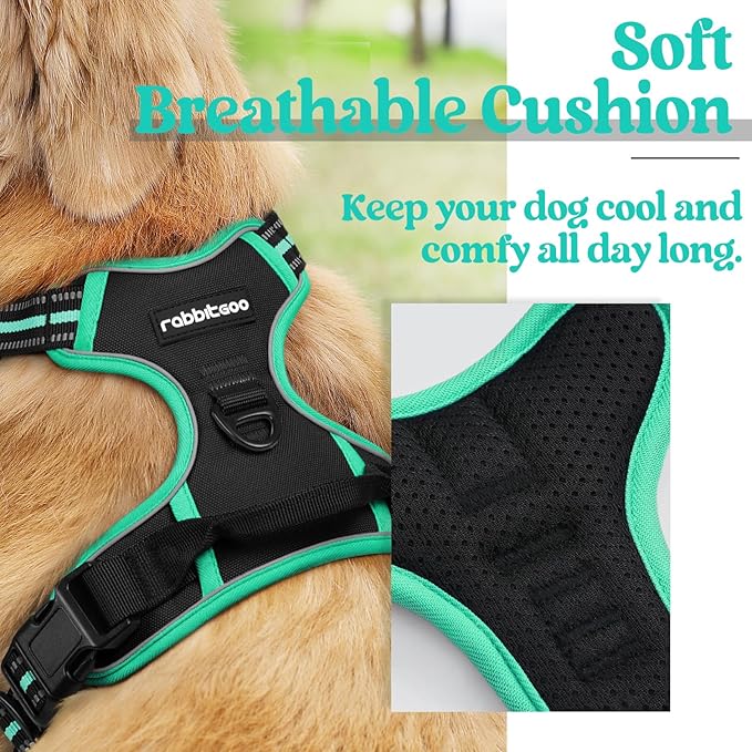 rabbitgoo Dog Harness, No-Pull Pet Harness with 2 Leash Clips, Adjustable Soft Padded Dog Vest, Reflective No-Choke Pet Oxford Vest with Easy Control Handle for Large Dogs, Black & Turquoise, S