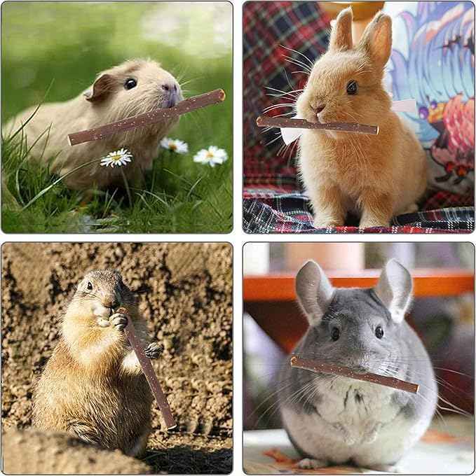 600g Apple Sticks Molar Treats Snacks(150 Pcs)