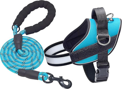 Haapaw Essential Dog Harness, No Pull Pet Vest with 3 Leash Clips, No Choke, Reflective, Adjustable and Padded, for Easy Walking and Training for Large Dogs(L, Blue)