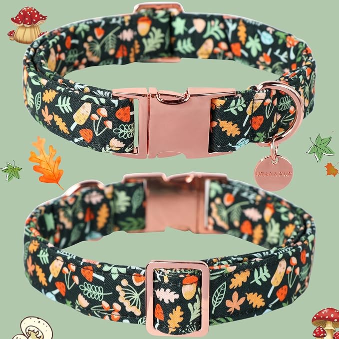 Daisy Fall Cotton Dog Collar with Metal Buckle