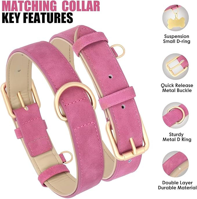 Beirui Soft Padded Leather Dog Collar and Leash Set 4FT Leather