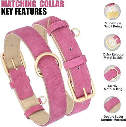 Beirui Soft Padded Leather Dog Collar and Leash Set 4FT Leather