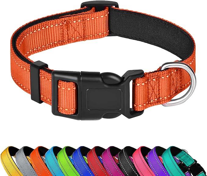 Reflective Dog Collar