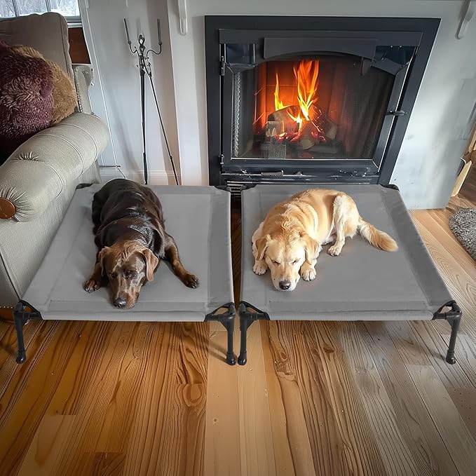 Veehoo 2 Pack Raised Dog Bed 42" x 30", Grey, CWC1803-L