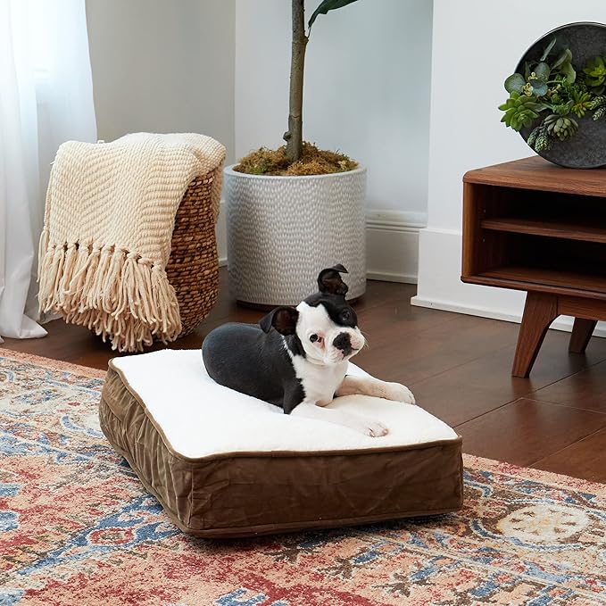South Pine Porch Buddy Rectangle Pillow Style Dog Bed (24" x 18")