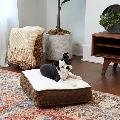 South Pine Porch Buddy Rectangle Pillow Style Dog Bed (24" x 18")