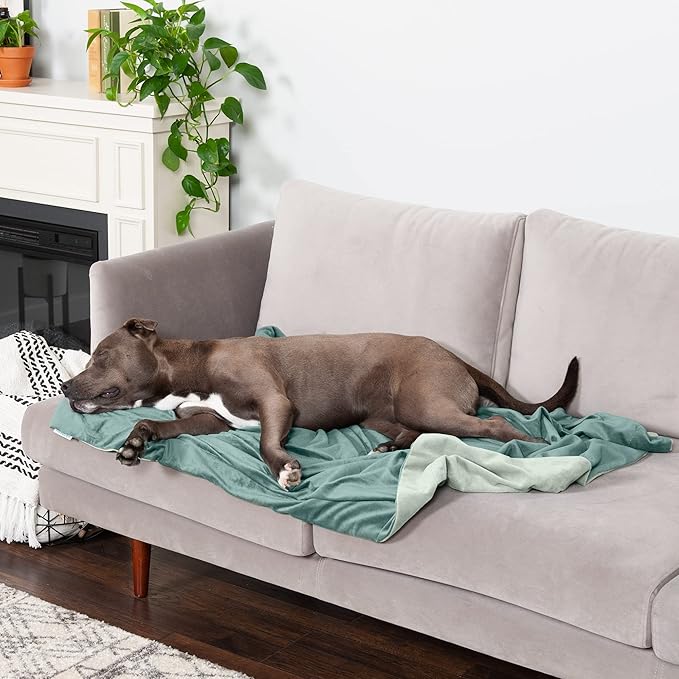 Furhaven Waterproof Throw Blanket for Dogs & Indoor Cats