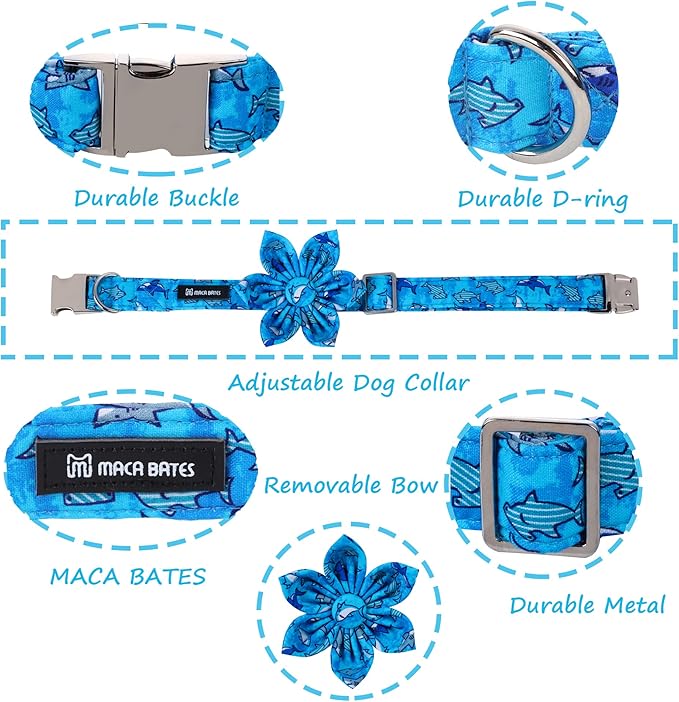 Maca Bates Flower Shark Dog Collar with Flowers for Dogs Blue Adjustable Breakaway Cute Collars Accessories Gift for Small Medium Large XL Puppy with Golden Metal Buckle